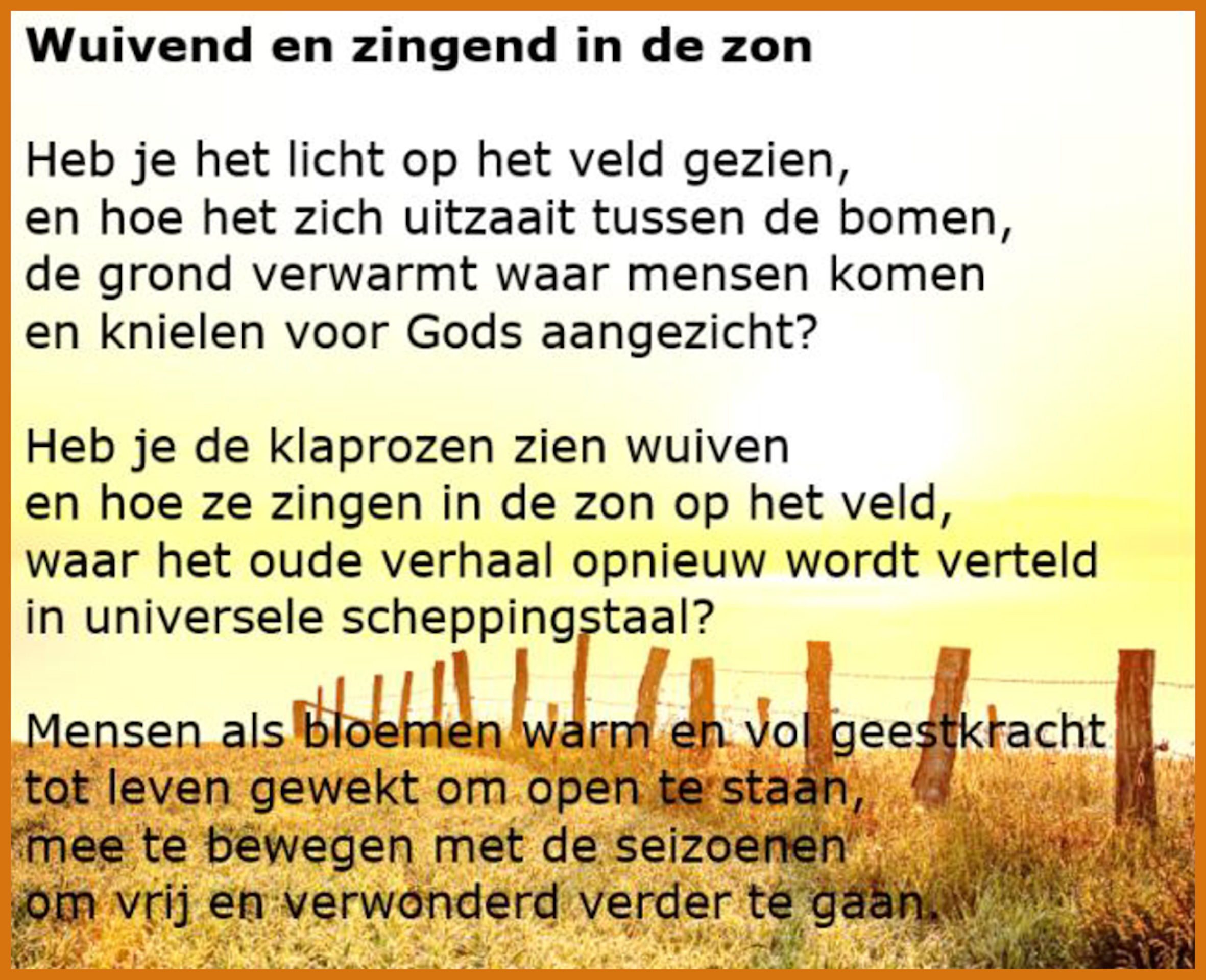 Wuivend%20en%20zingend%20in%20de%20zon