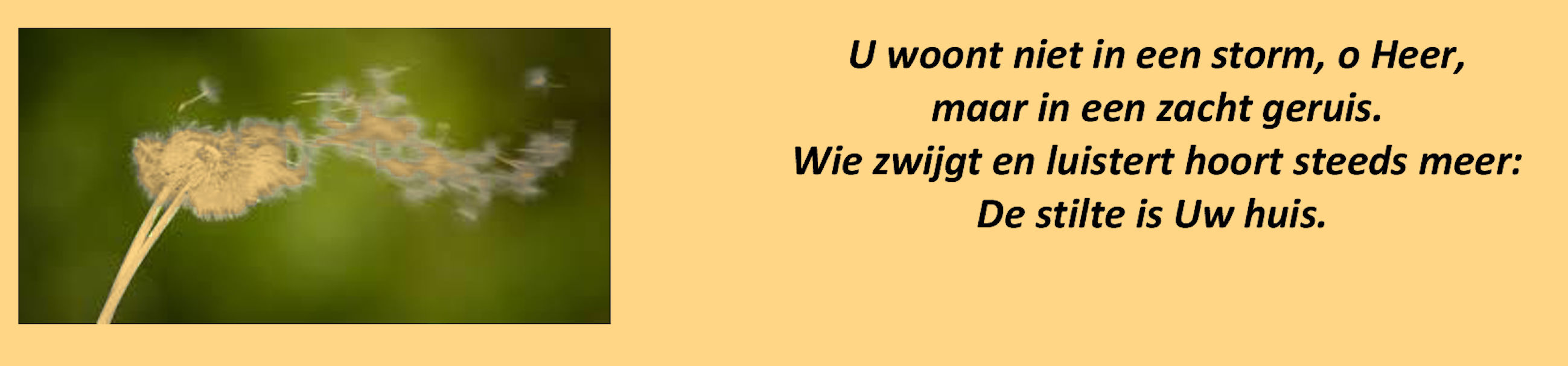 De%20Stilte%20Is%20Uw%20Huis